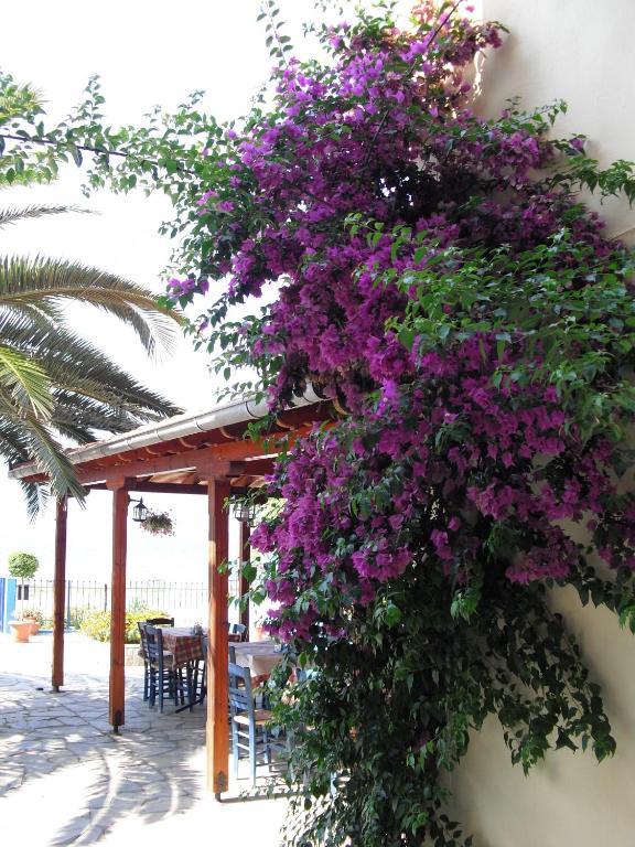 مولا كاليفا Kangaroo Hotel المظهر الخارجي الصورة